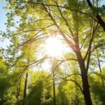 Vitamin D: The Secret to Boosting Your Health Naturally